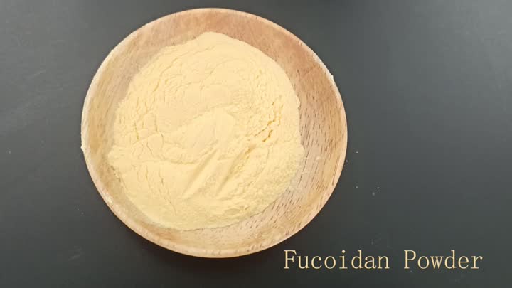 Fucoidan -Pulver