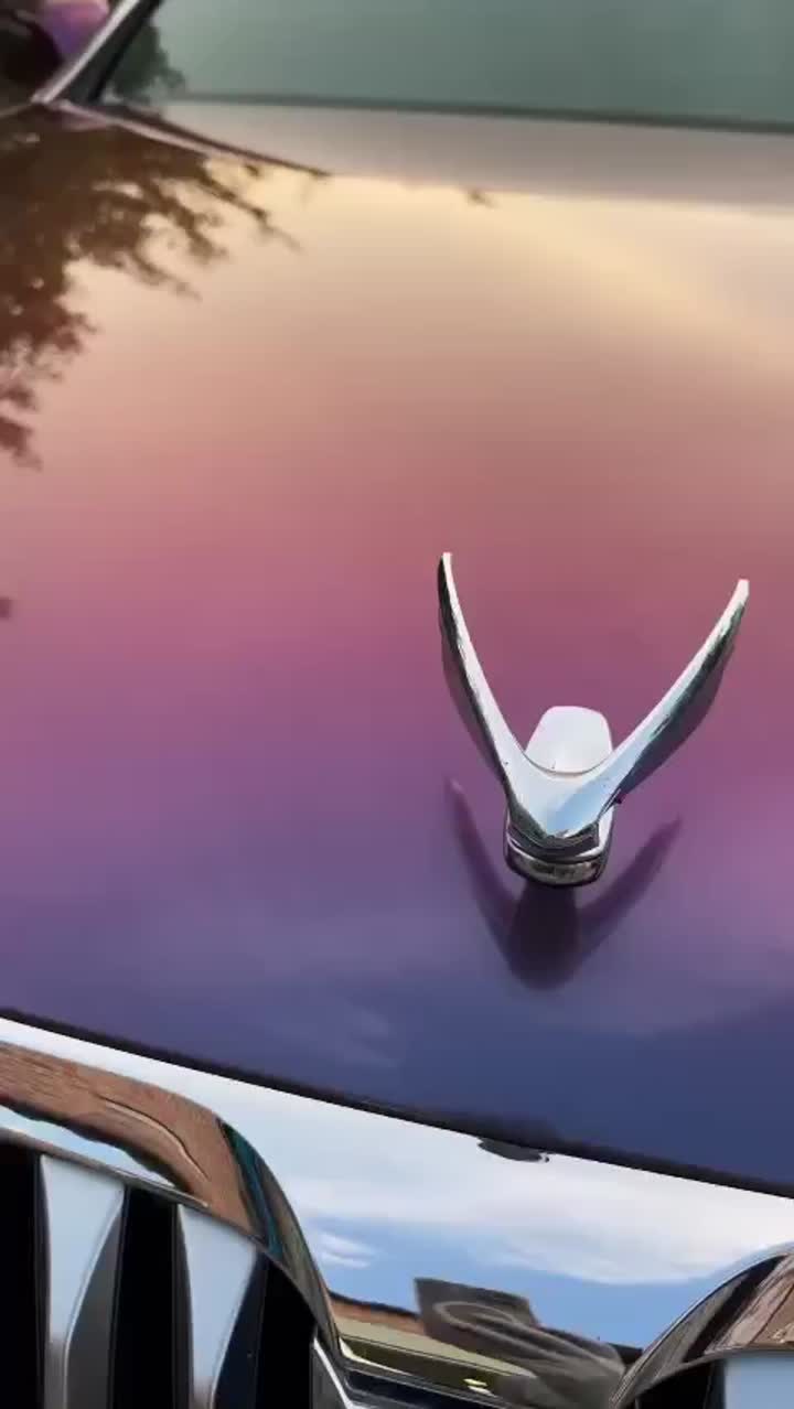 বেগুনি মেচা গিরগিটি গাড়ির মোড়ক