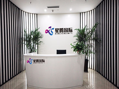 SHANDONG XINGTENG INTERNATIONAL TRADE CO., LTD.