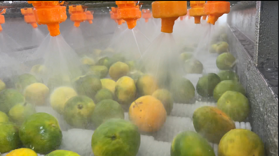 fruit washer machine