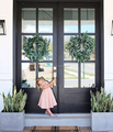 Aluminum French Doors with Lattice for Exterior1