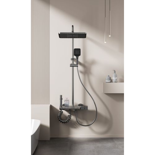 4181 Shower set