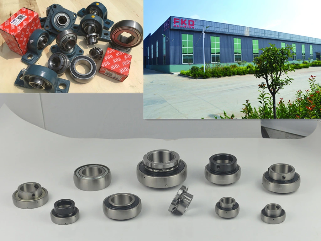 Pillow Block Bearing/Angular Contact Bearing Fkd Bearing