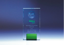 VALEO BEST INTEGRATED     SUPPLIER