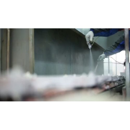 ভিডিও24345235