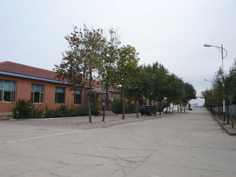 Shijiazhuang S D Company Ltd.