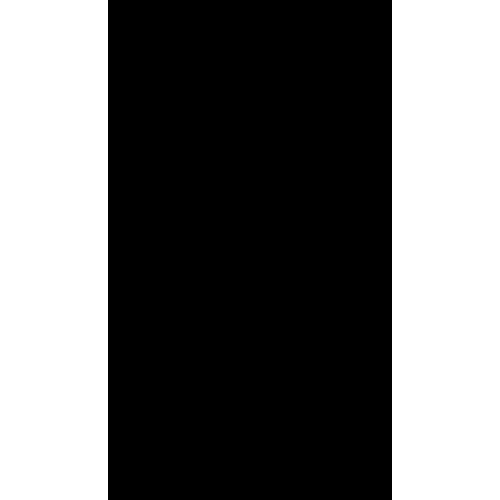 Y1300