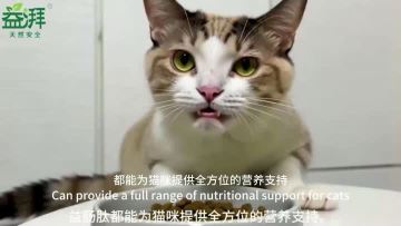 Pet gastrointestinal support cat
