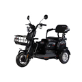 البيع الساخن 48V/20AH 1420*660*1030 مم متعددة الأغراض سكوتر كهربائي 3 عجلة ثلاثية الدراجات الكهربائية 1