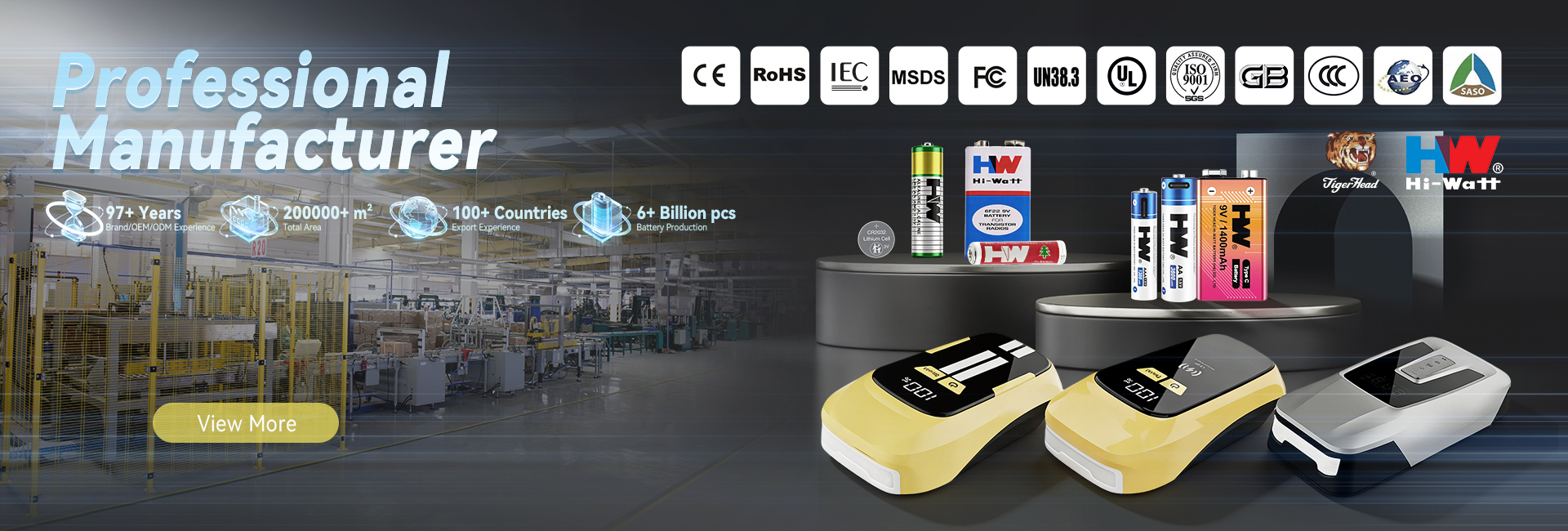 Guangzhou Tiger Head Battery Group Co., Ltd.
