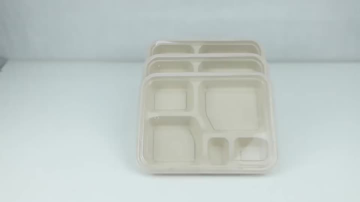 Contenitore bagasse