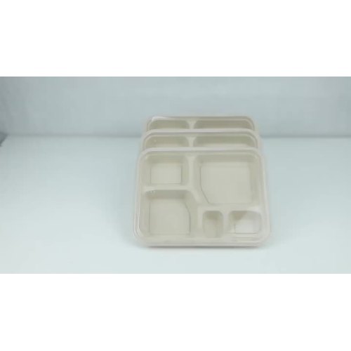 Bagasse konteyner