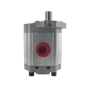 Top 10 Most Popular Chinese Hydraulic Elevator Machinery Pump Brands