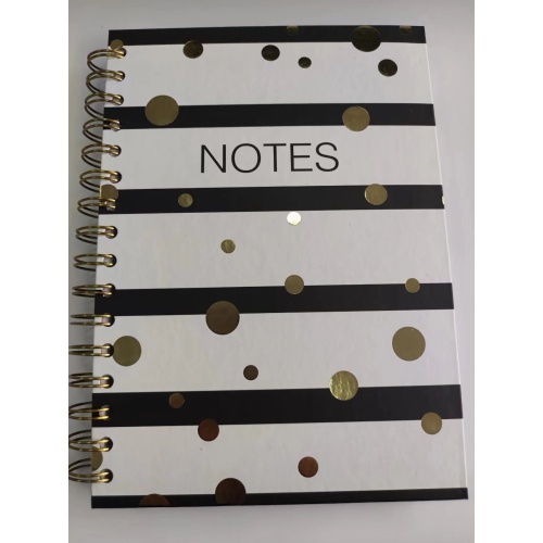 R1117 Sprial Notebook A5 