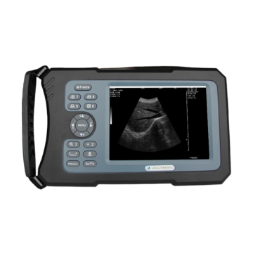 Ten Chinese Vet Ultrasound Scanner Suppliers Popular in European and American Countries