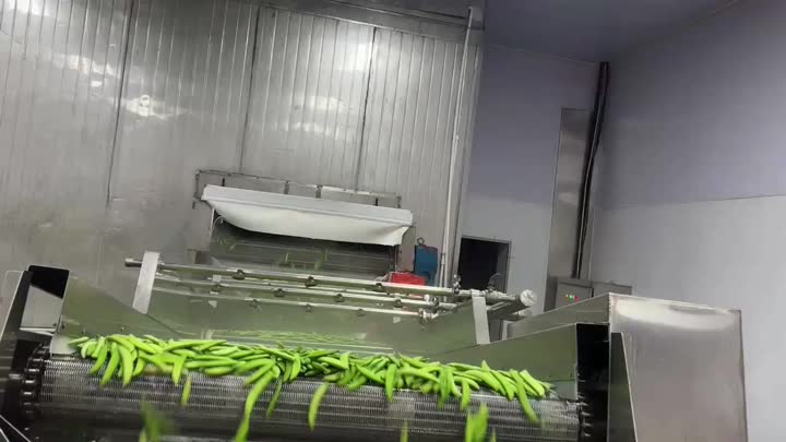 IQF Green Beans by Fluidized Tunnel Freezer