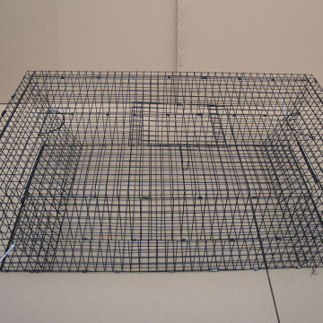 China Top 10 Cat Trap Cage Potential Enterprises