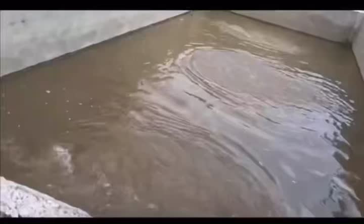 Campurkan dengan Ketepatan: Pengadun Industri Kolar Biru Bertindak