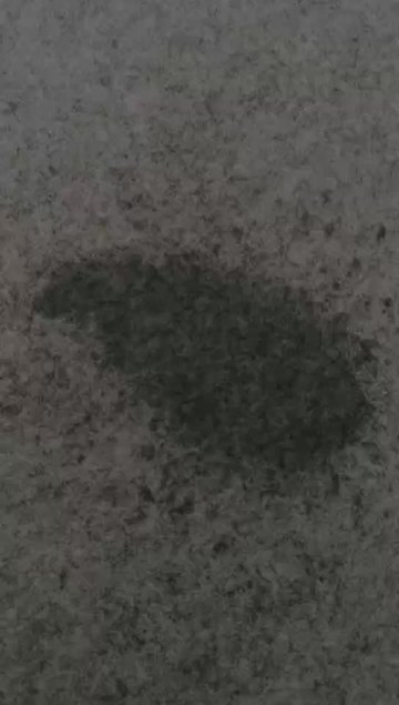 Waterproof Absorbent