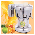 Commercial Fruit and Vegetable Juicer Machine: Banana, Watermelon, Pineapple, Tomato, Lemon, Apple, Mango, Carrot Juice Extractor1