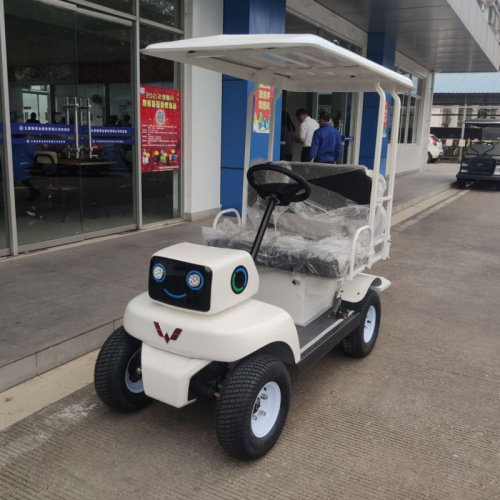 The performance of Golf Cart is very good