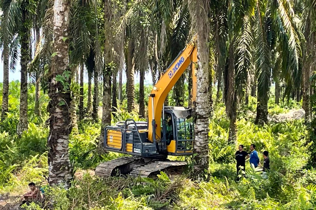 XCMG Penggali tersuai khas membantu pembangunan baru hutan hujan di Indonesia