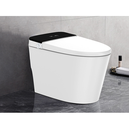 How To Choose A Reliable Smart Toilet