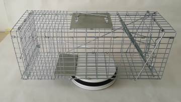 Humane Live Possum Cage Trap Live Animal Catch Feral Cats Rabbit Raccoons Cage Trap Factory Direct Sale New Seller1