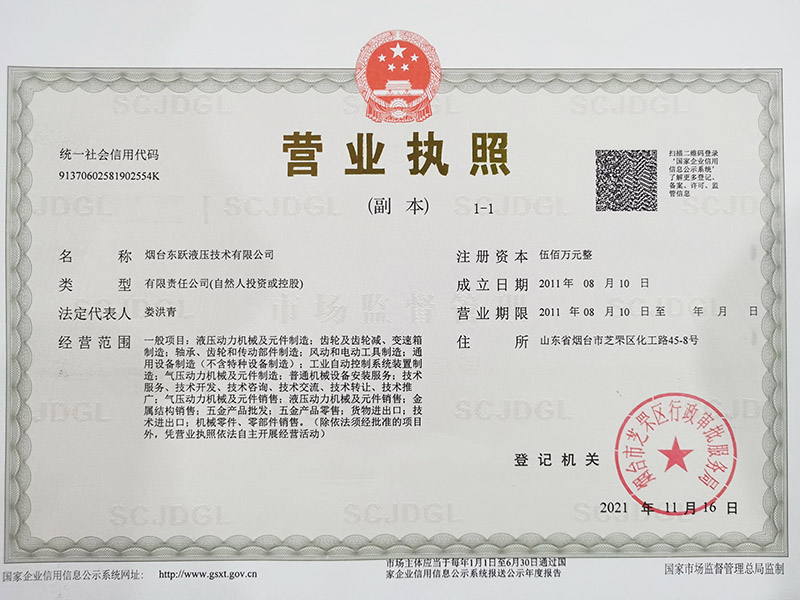 Dongyue Business  License