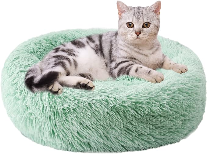 Cat Bed Round Cushion and Sofa