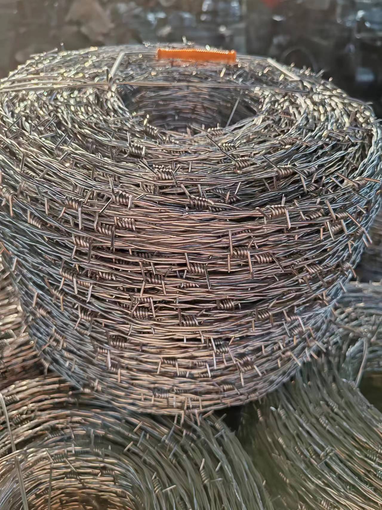 barbed wire 