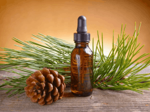 Small brown bottle next to pine cone and leaves. 