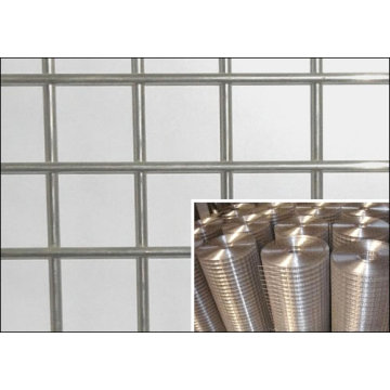 Ten Chinese Stainless Steel Woven Wire Mesh Suppliers Popular in European and American Countries