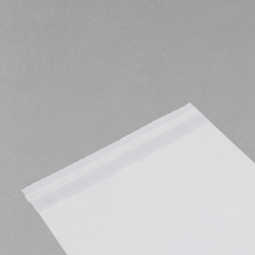 ဥရောပနှင့် အမေရိကနိုင်ငံများရှိ လူကြိုက်များသော ဇီဝပိုးမွှားချေမှုန်းနိုင်သော အိတ်အမှတ်တံဆိပ် ၁၀ ခုစာရင်း