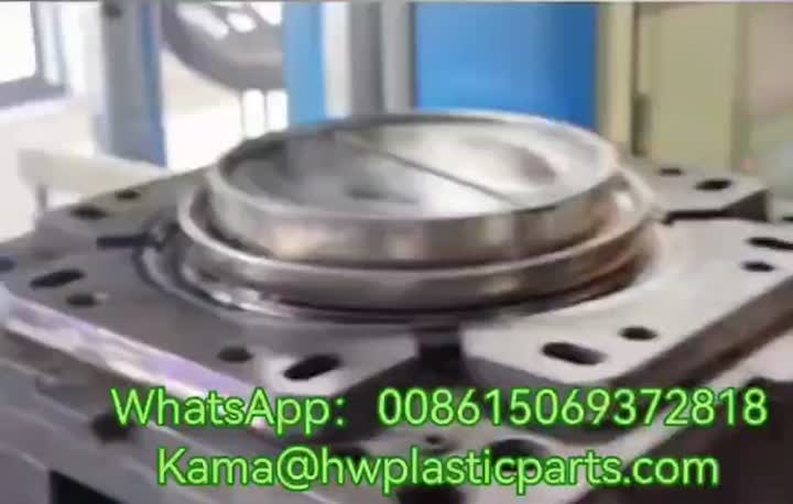 Washer door seal ring