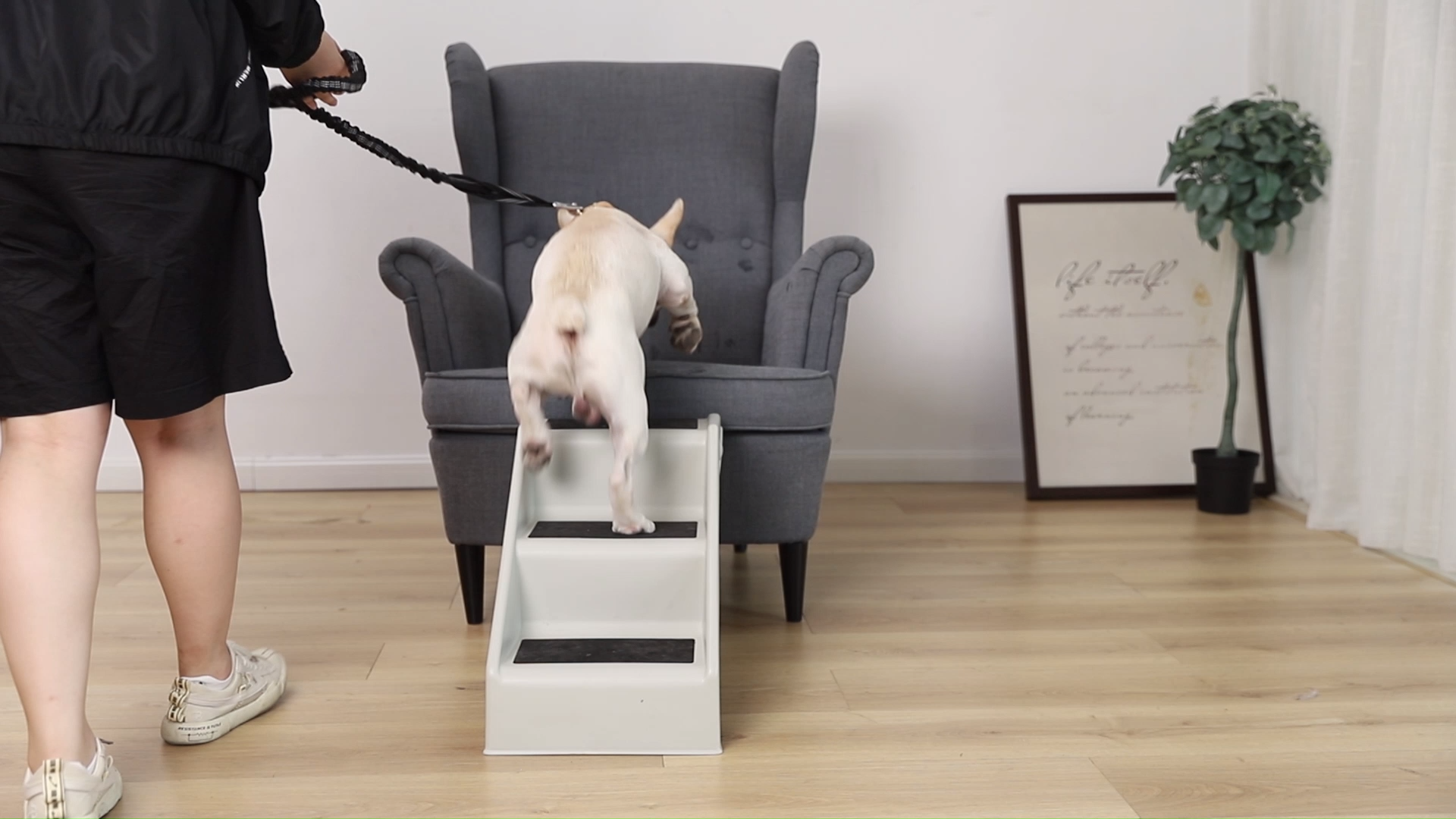 ผู้ถือที่รองรับการถอดบันไดสัตว์เลี้ยงแบบถอดได้พกพาสามขั้นตอน Dog Lightweight Easy Step1