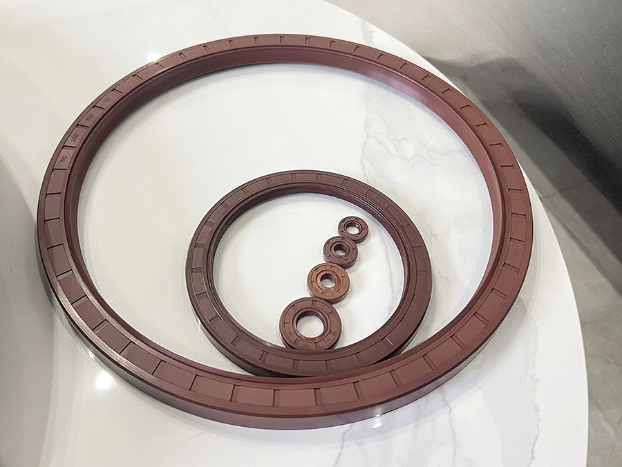 Segel minyak kerangka Fluorogar