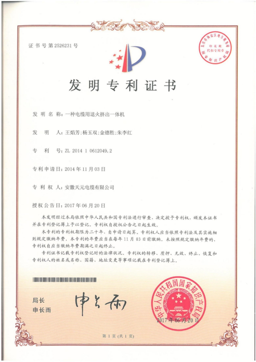 Invention Patent Certificate