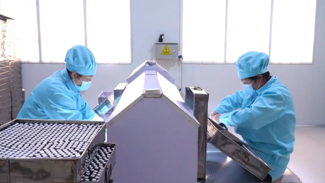 Jilin Changbai Pearl Forest Food Co., Ltd.