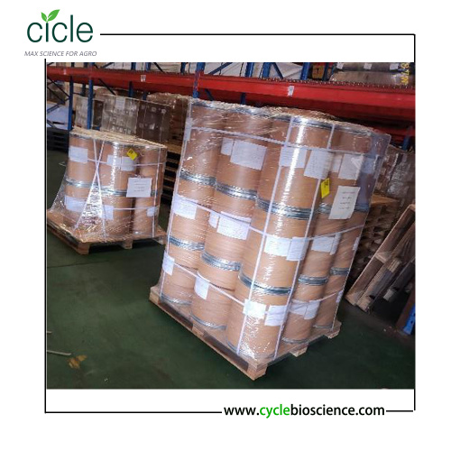 1000KG  Gibberellic Acid (GA3) 90%TC Powder Export to Mexico