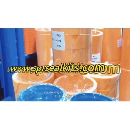 Kit di riparazione per cilindro idraulico di escavatore