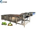 High Quality Orange Fruit Air Bubble Washer Machine1