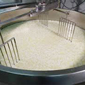 Mozzarella Cheese Making Machine: Dairy Processing Equipment1