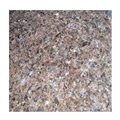 Lavender Labrador Antique Granite Polished Tiles with Shining Star Dots1