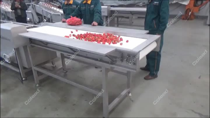 Strawberry washing line