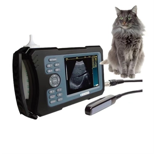 Vorteile und häufige Probleme des Veterinär -Ultraschallscanners