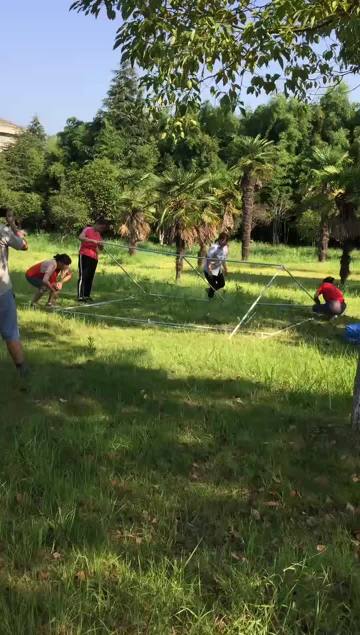 Installation of blue metallic frame tent