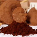 Reishi gombás kivonat USDA organikus vad reishi gomba por kivonat Lucid Ganoderma Extract1