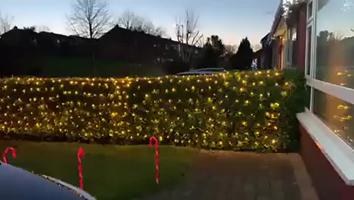 Christmas Net Lighting