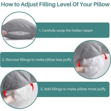 Trusted Top 10 Custom Molded Pillow Manufacturers and Suppliers